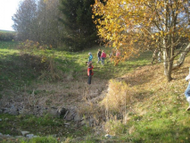 20150423-gta-natur-(5).jpg